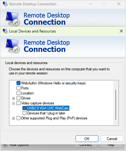 Screenshot of the Remote Desktop connection settings