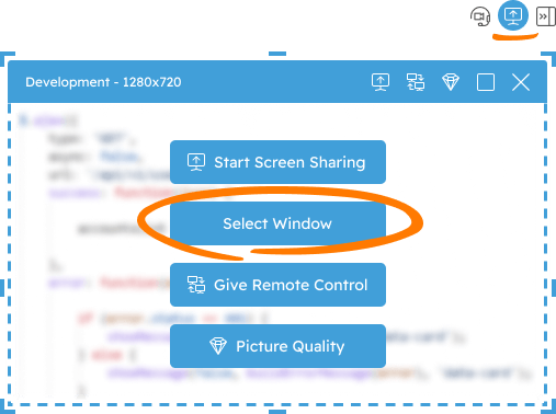 Screenshot of the screen sharing frame with single window option highlighted