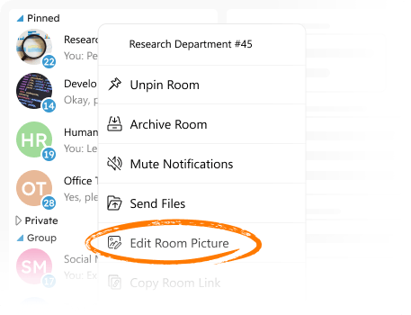 Screenshot group room context menu with room avatar option highlighted